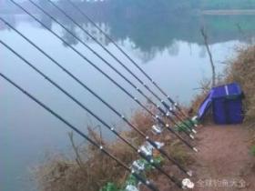 初冬矶竿垂钓鲫鱼的分析