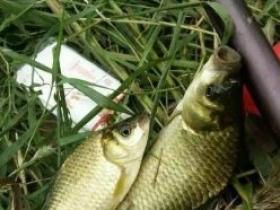 钩距的大小,不容小视