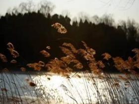 善忘,是一种大智慧