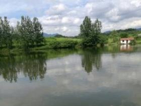 到底什么天气才是上鱼天?一篇文章告诉你!