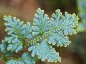 当你一无所有的时候