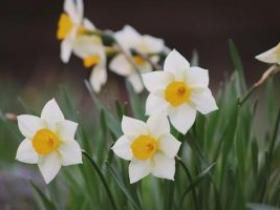 孩子的学习能力来源于早期的阅读