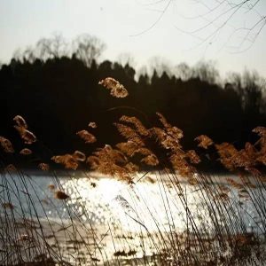 1478437139-3981-HGDnOerUnVtLyXibuM86vqhnK3eg
