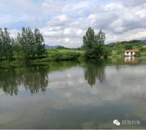 到底什么天气才是上鱼天?一篇文章告诉你!-图片1