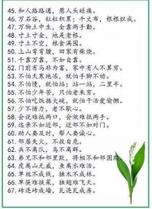 中华谚语库—500句精髓，堪称历史上水准最高！-图片3
