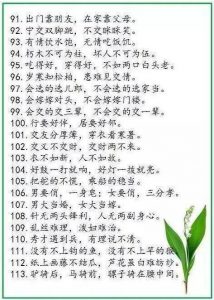 中华谚语库—500句精髓，堪称历史上水准最高！-图片5