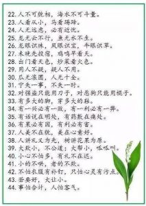 中华谚语库—500句精髓，堪称历史上水准最高！-图片2