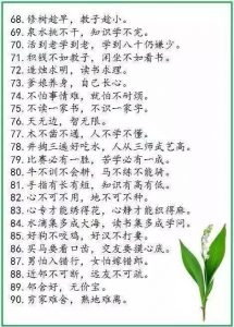 中华谚语库—500句精髓，堪称历史上水准最高！-图片4