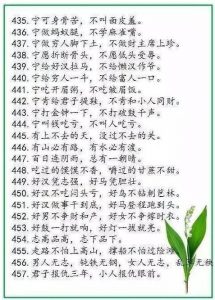 中华谚语库—500句精髓，堪称历史上水准最高！-图片20