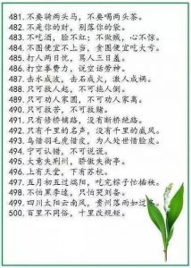 中华谚语库—500句精髓，堪称历史上水准最高！-图片22