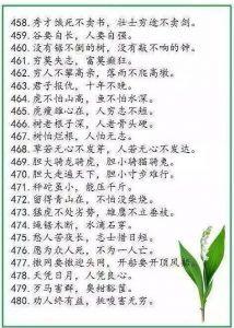中华谚语库—500句精髓，堪称历史上水准最高！-图片21