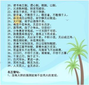 别再瞎花钱给孩子补课了！背熟这份语文资料，保孩子小学6年次次拿第一-图片5