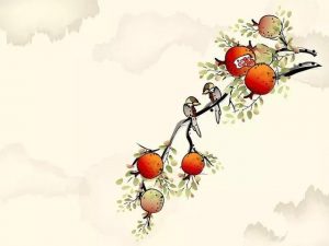 必备收藏的生活文字知识-图片2