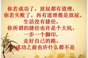 你若成功了，放屁都有道理；你若失败了，再有道理也是放屁