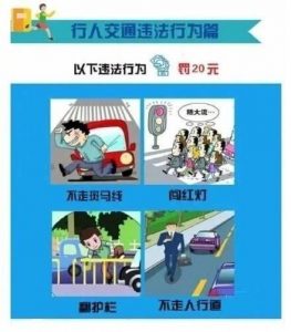 常见交通违法处罚细则