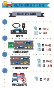 常见交通违法处罚细则