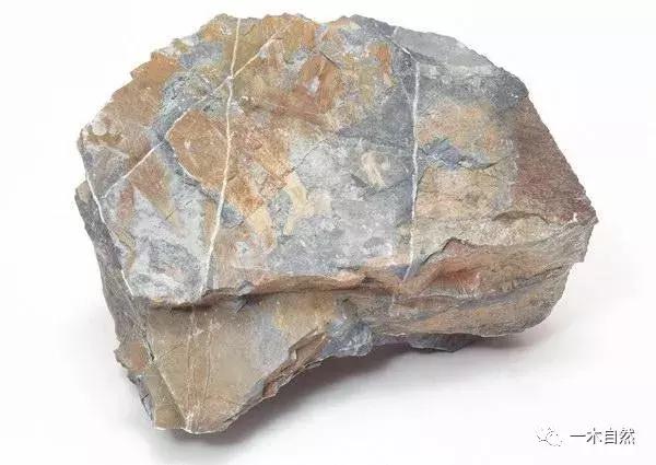 地质基础知识（一）：岩石的分类-图片3