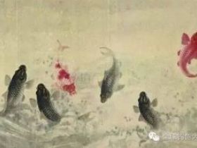 从这些方面可以看出鱼是否进窝