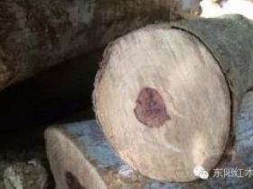 什么是材质？木友必须了解的十八个常识