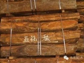 什么是“亚花梨”？