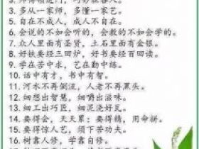 中华谚语库—500句精髓，堪称历史上水准最高！