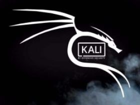黑客专用系统Kali Linux